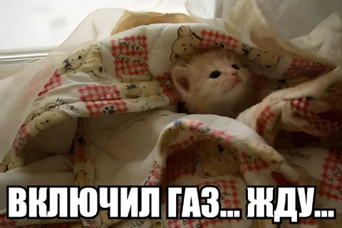 Включил газ, жду