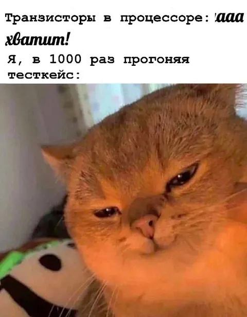 Кот после тысячи тестов