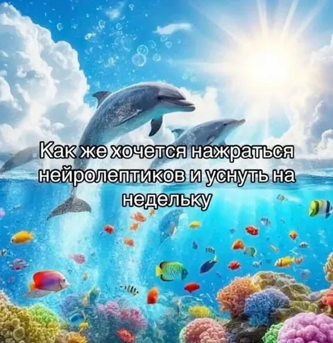 Дельфины хотят отдохнуть