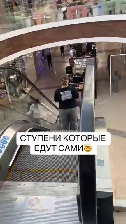 Студенты едут сами