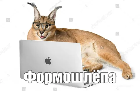 Формошлёла за ноутбуком