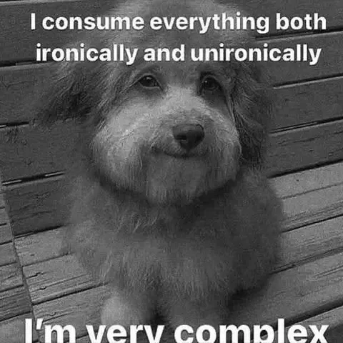 Very Complex Dog