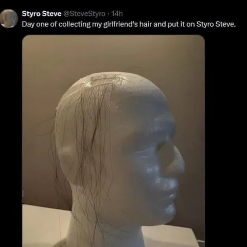 Girlfriend Hair Styro Steve