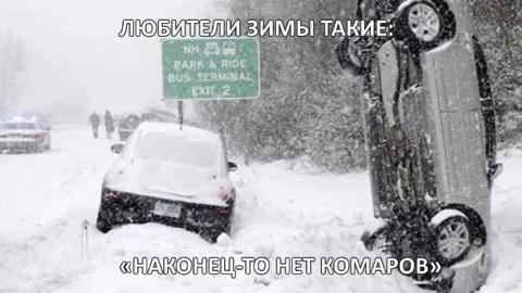 Любители зимы без комаров