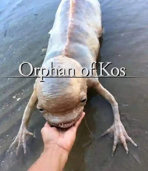 Orphan of Kos Frog