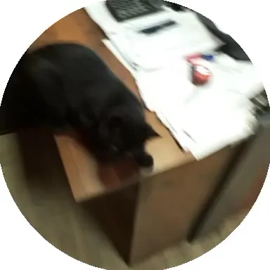 Кот мешает работать