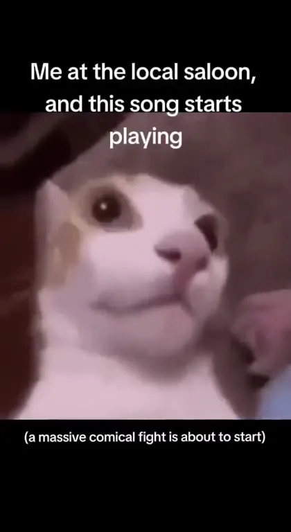 Cat Hears the Saloon Song