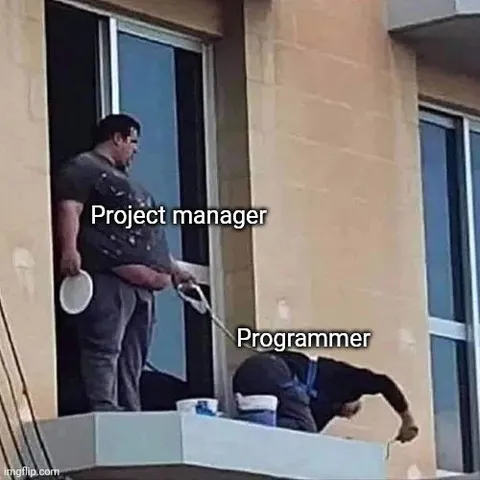 Project Manager Holds Programmer