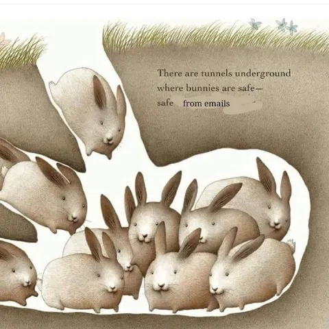 Bunnies Safe From Emails