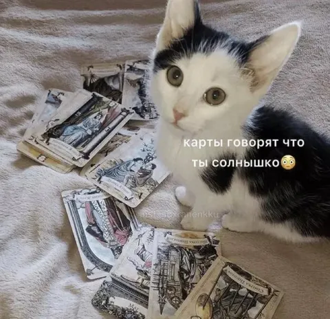 Карты говорят, что ты солнышко