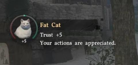 Fat Cat Trust Increased