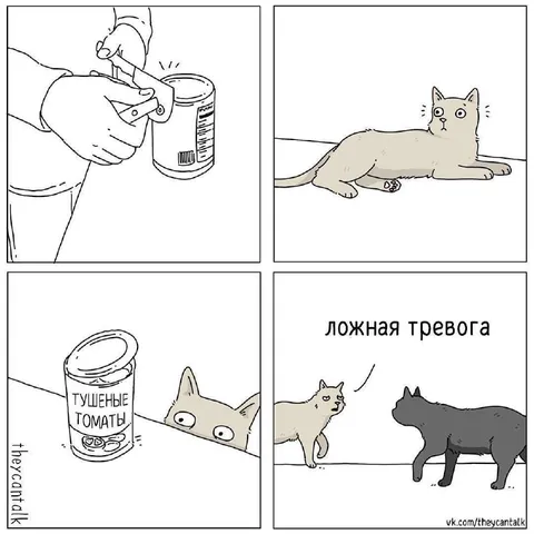 Кот и ложная тревога