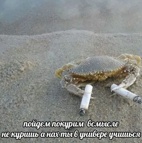 Краб зовёт покурить