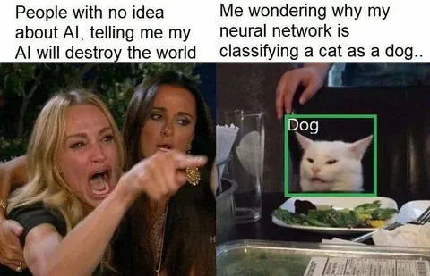 AI Classifies Cat as Dog