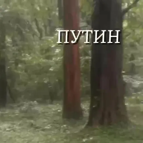 Путин помогает таджику купить продукты
