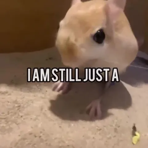Rat in a Cage Rage