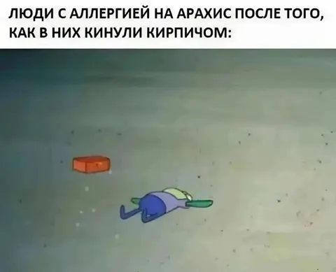 Аллергия на арахис после кирпича