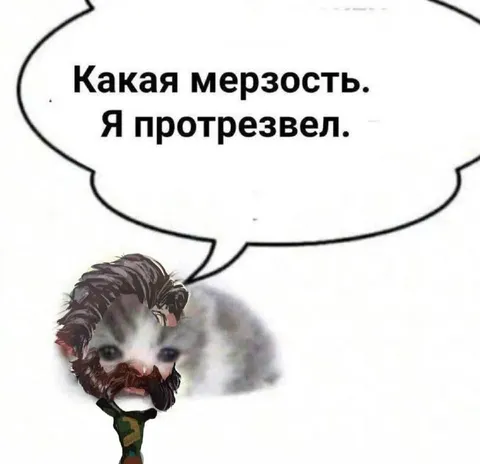 Какая мерзость. Я протрезвел.