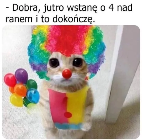 Kot klaun wstaje o czwartej