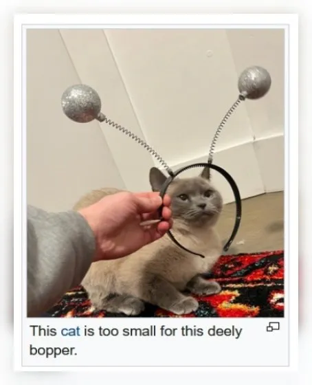 This Cat Is Too Small