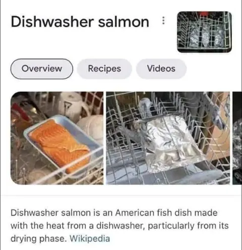 Dishwasher Salmon Search Result