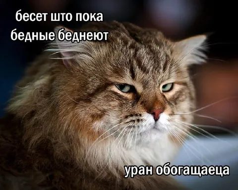 Бедные беднеют, уран обогащается
