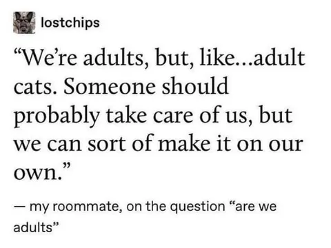 Adult Cats Trying to Adult