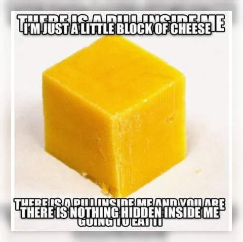 Little Block of Cheese