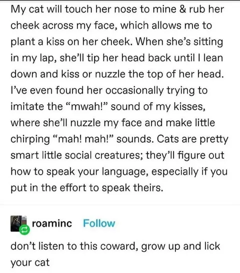 Cats Speak Your Language