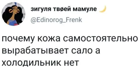 Кожа вырабатывает сало, холодильник нет