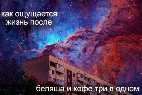 Жизнь после беляша и кофе