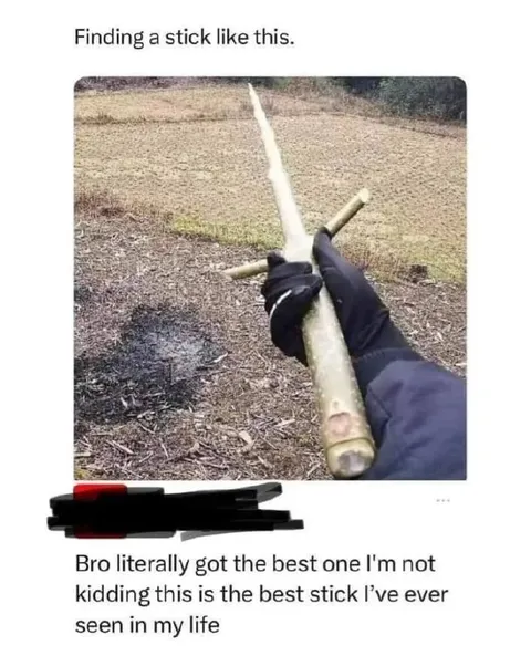 The Best Stick Ever Found