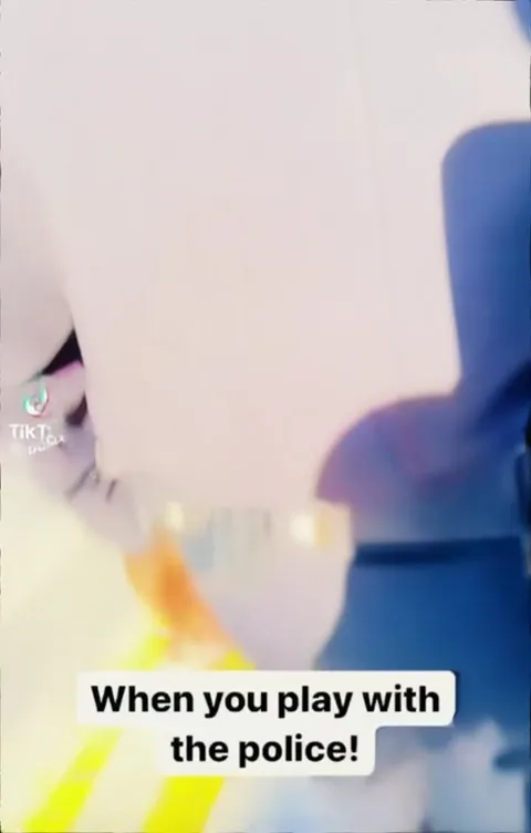 When You Play With the Police