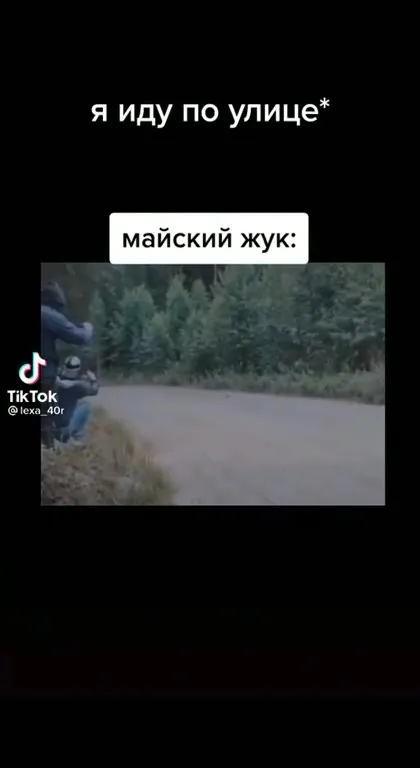 Майский жук на улице