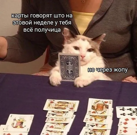 Карты обещают успех через жопу