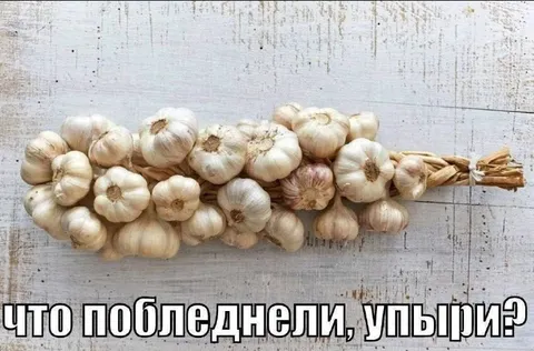 Чесночные упыри побледнели