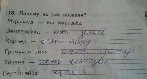 Почему их так назвали?