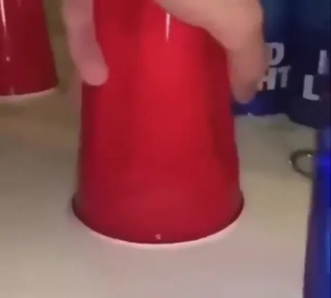Phrog Under the Cup