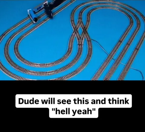 Dude Sees the Train Track