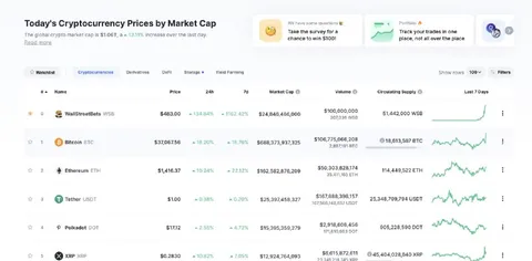 WallStreetBets Token Goes Parabolic