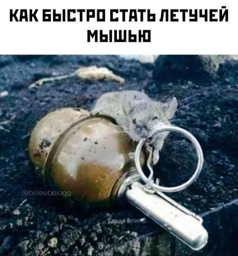 Как быстро стать летучей мышью
