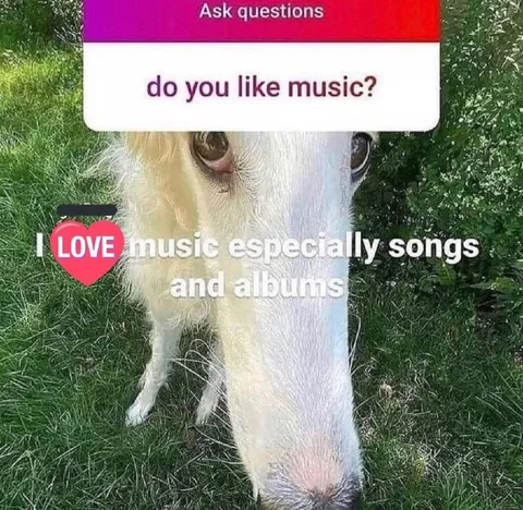 Goat Loves Music