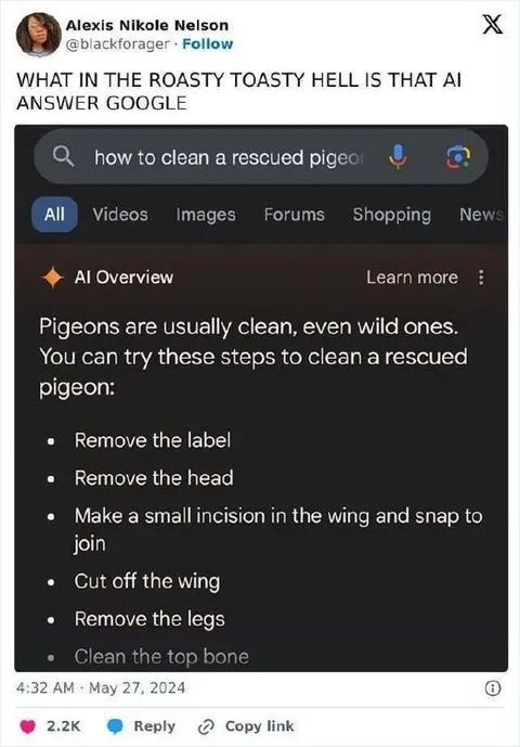 AI Teaches You to Clean a Pigeon