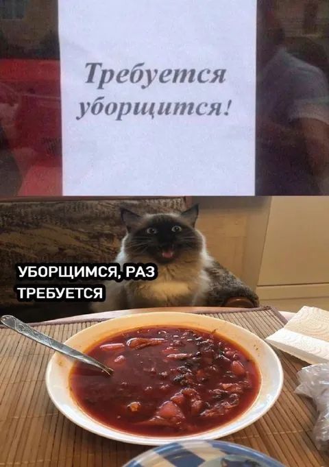 Кот за уборку борща