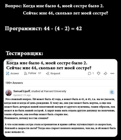 Сколько лет сестре программиста