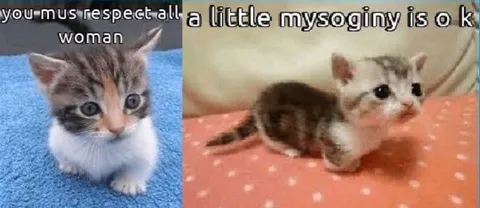 Kitten Says Respect Women