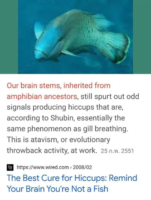 Your Brain Is Not a Fish