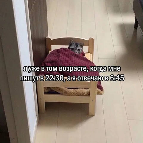 Ответить утром на ночное сообщение