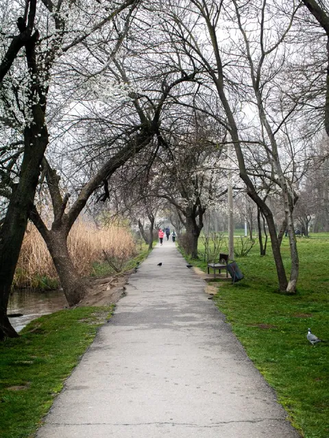Прогулка в осеннем парке