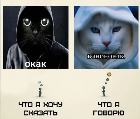 Что я хочу сказать и говорю